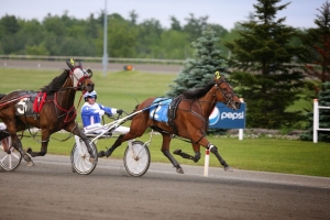 Pictured winning her elimination of the Elegantimage Stakes at Mohawk Racetrack with Driver Rick Zeron in 2013