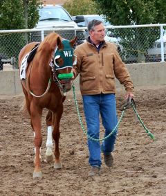 William Leech hot walking