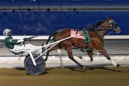 Kelly Hoerdt and Uptown Hanover winning the Filly Pace