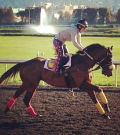 Galloping for Rod Cone at Golden Gate Fields 2015