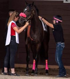 Saddling at Century Mile 2021