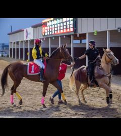 Going onto post parade at Century Mile 2022