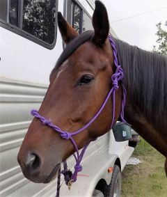 Easy going is an understatement