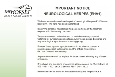 Important Notice - Neurological Herpes (EHVI)