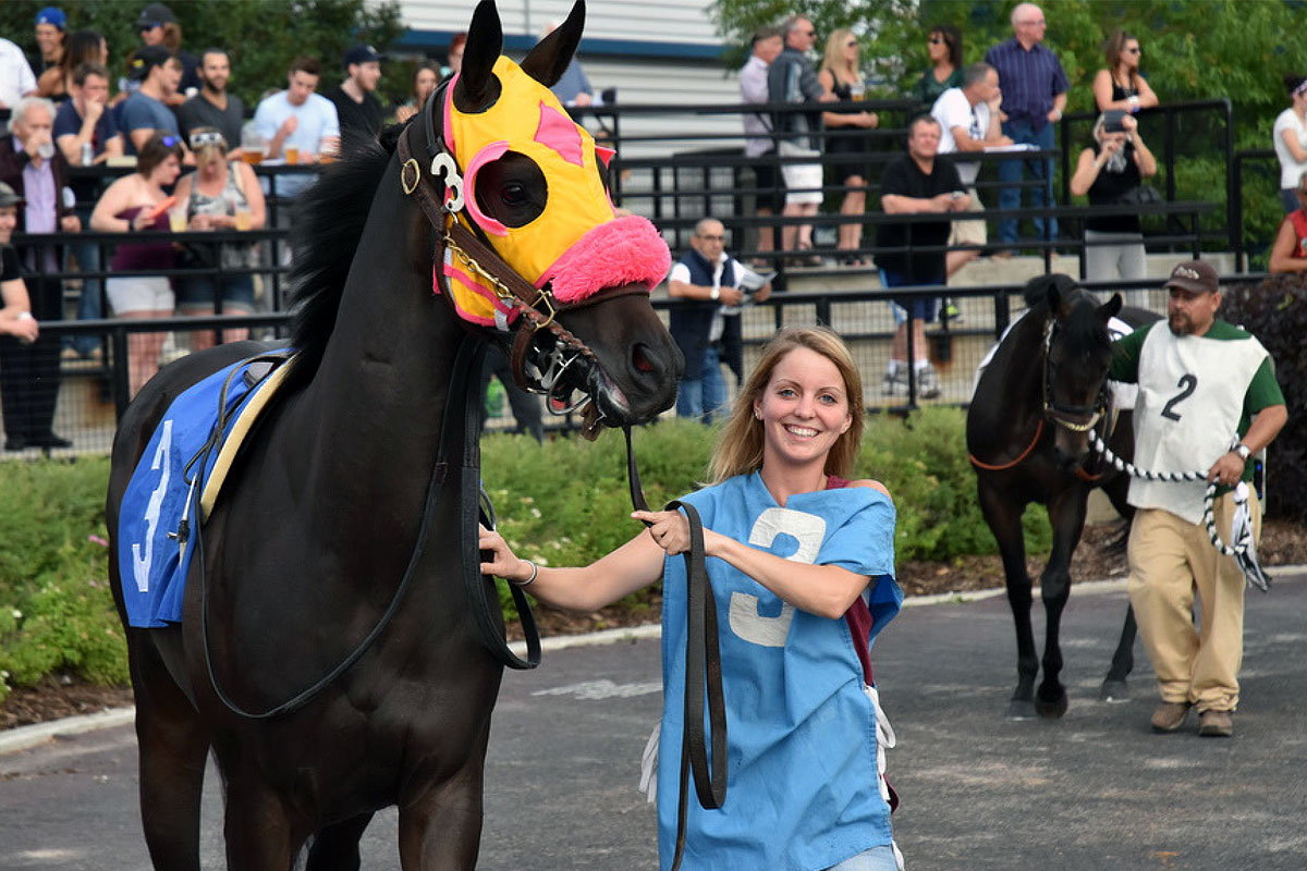 Groom with racehorse in paddock before race