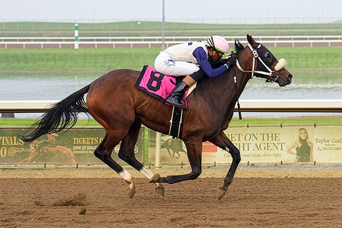 Playful and Antonio Whitehall in the Sonoma Stakes at Century Mile