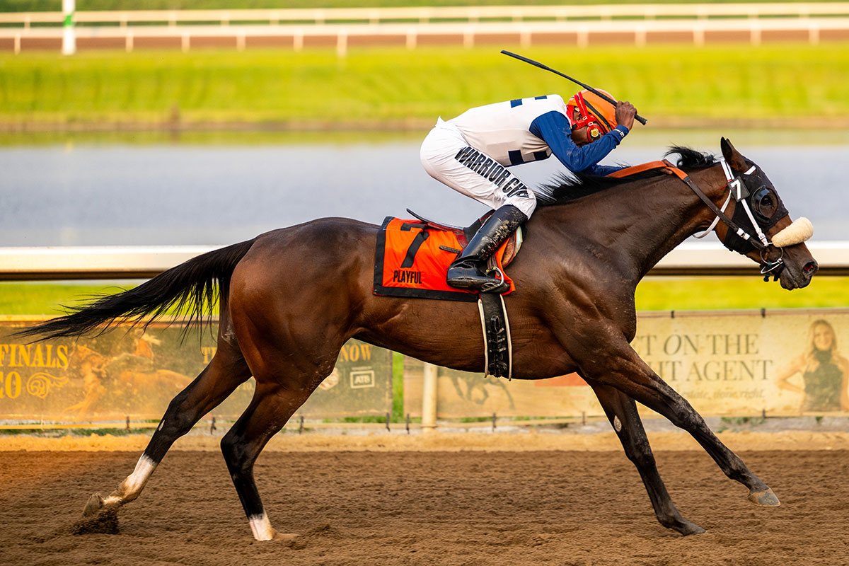 Playful with Jockey Dane Nelson
