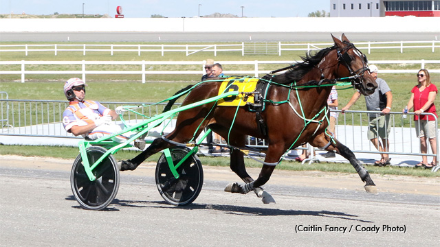 Lady Neigh Neigh taking the win at Century Downs (Caitlin Fancy/Coady Photo)