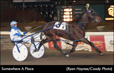 Somewhere A Place in the Northlands Filly Eliminations