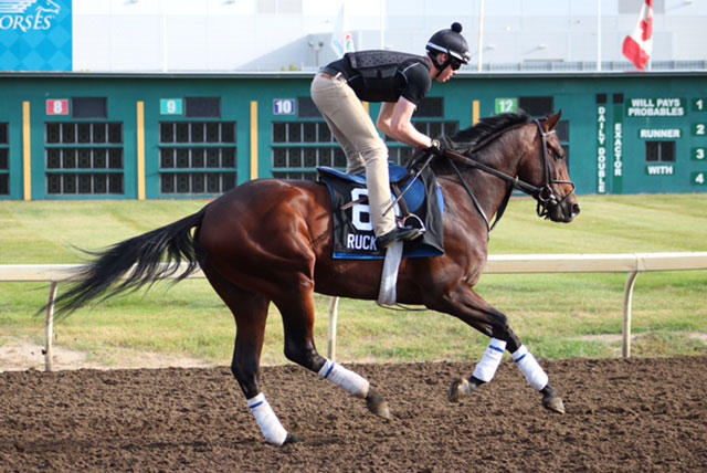 Ruck at moring works at Northlands Park