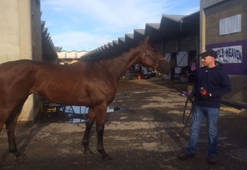 Solve and Rob Atras in the barns area at Northlands Park