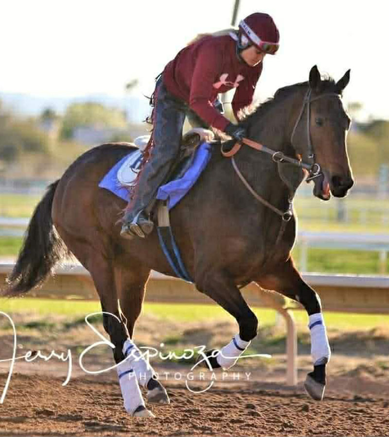 Galloping at Turf Paradise for Rycroft Racing 2022