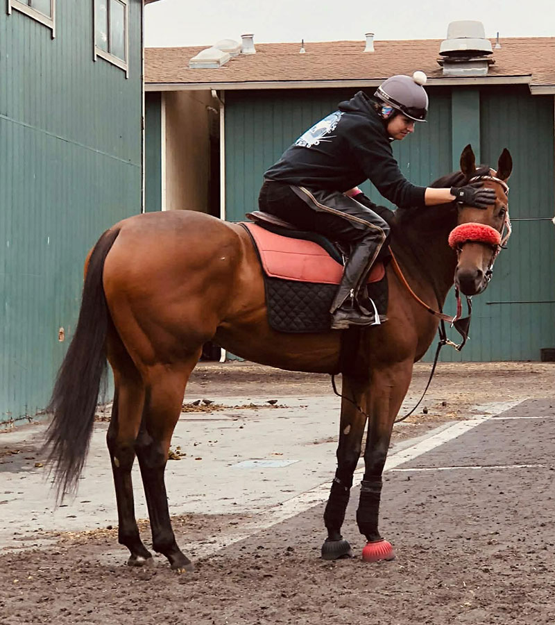 Standing JasonXL for trainer Manuel Badilla at Golden Gate Fields 2019