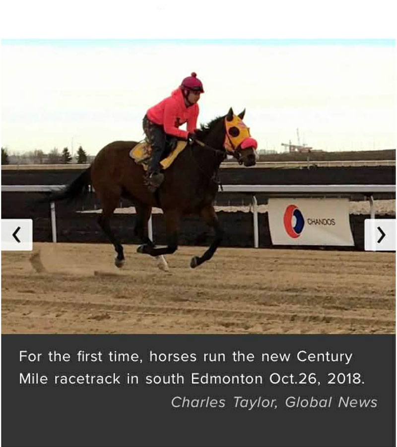 Galloping tryout at Century Mile 2018 - Nations Charm