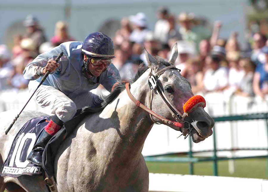Travis (Freedoms Traveller) in the stretch of the 2011 Canadian Derby