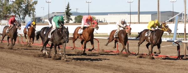 2015 ACTRA Nominees and Winners