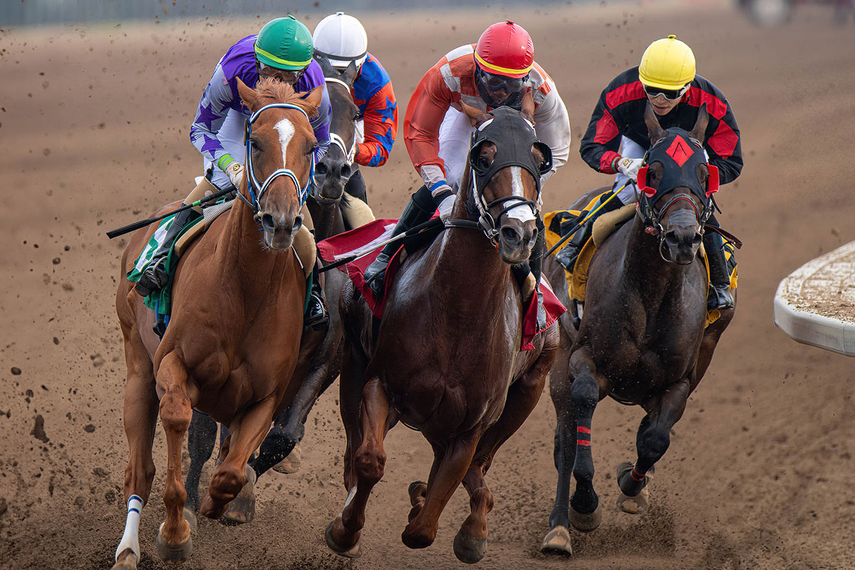 Barbara Heads Brings Strong Hand to Century Mile With Sunblaze and Apprehend