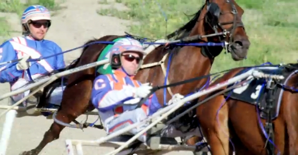 HRA 2015 Standardbred Open CTV Telecast - Video