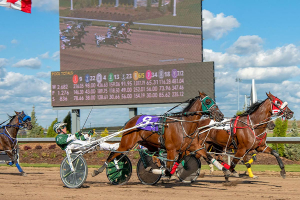 Harness racing returning to Century Mile after a year-long hiatus