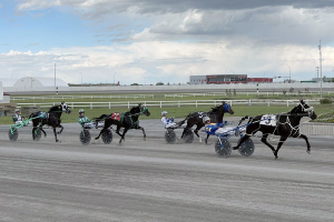 A Date Night At The Races With Century Downs