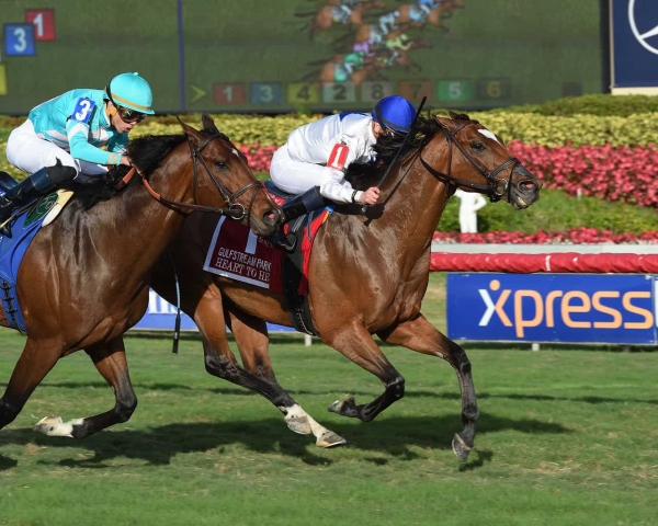 Heart to Heart Finally Clinches G1 at Gulfstream Park Turf on February 10, 2018