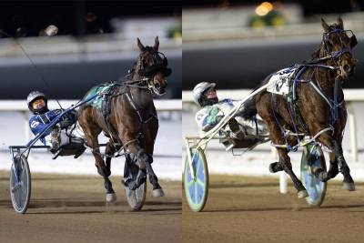Recap of Saturday’s Western Canada Pacing Derby and Century Casino Filly Pace