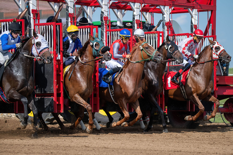 Alberta Horse Racing Season Gallops Into Action with Record Purses and High Spirits