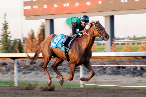 Dueces Are Wild at Century Downs