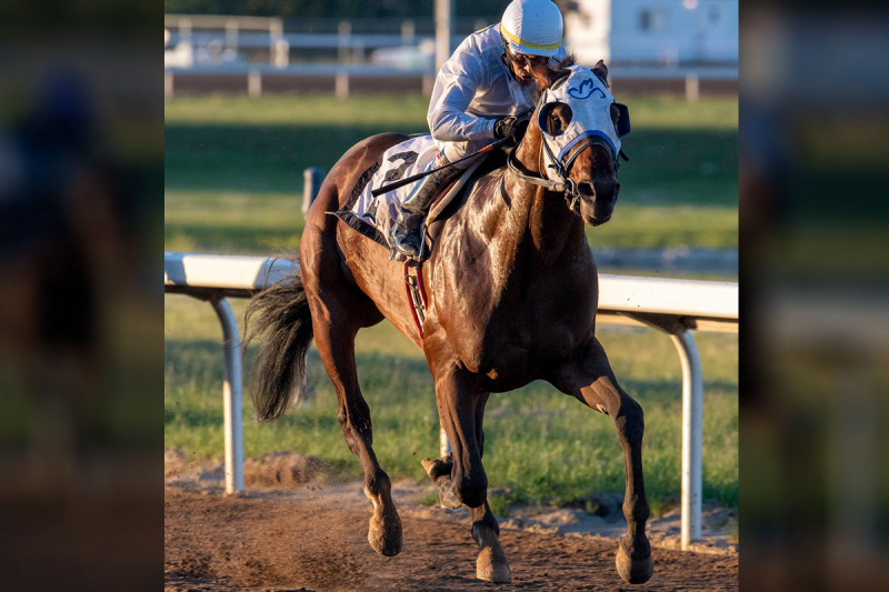Tony&#039;s Tapit in the Western Canada Handicap on June 20, 2021