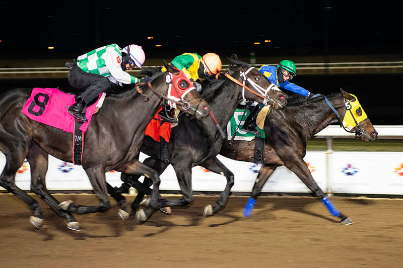 Solo Ring nips Dune d’Oro and Zicatela at the wire in the CTHS Sales Stake at Century Mile - October 18th, 2020