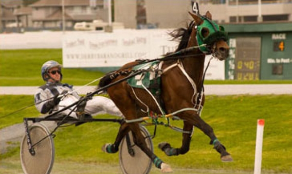 Jim Marino at Fraser Downs