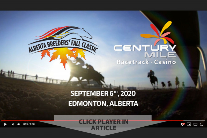 Article slate image - click player in article below...