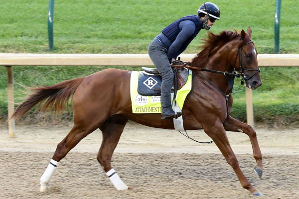 Attachment Rate with exercise rider Faustino Herrarte aboard