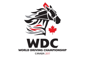 World Driving Championships - Video Teaser