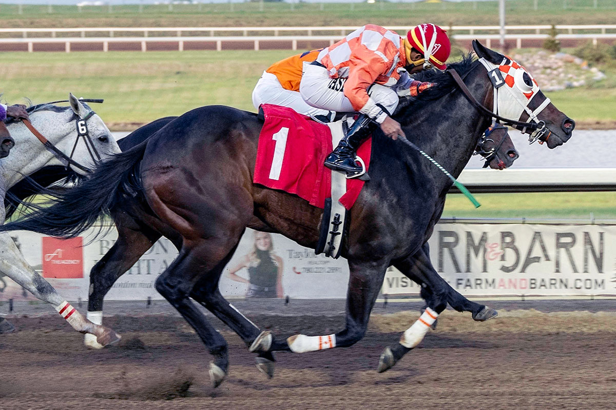 Rainbow's Pride prevailing in the Journal Handicap, Richard Balgobin up 
