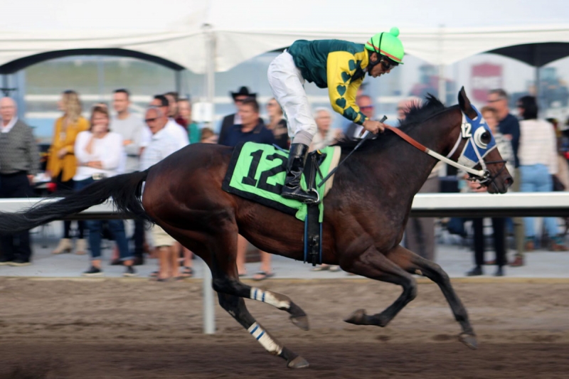 Smart Fix - the come-from-behind artist