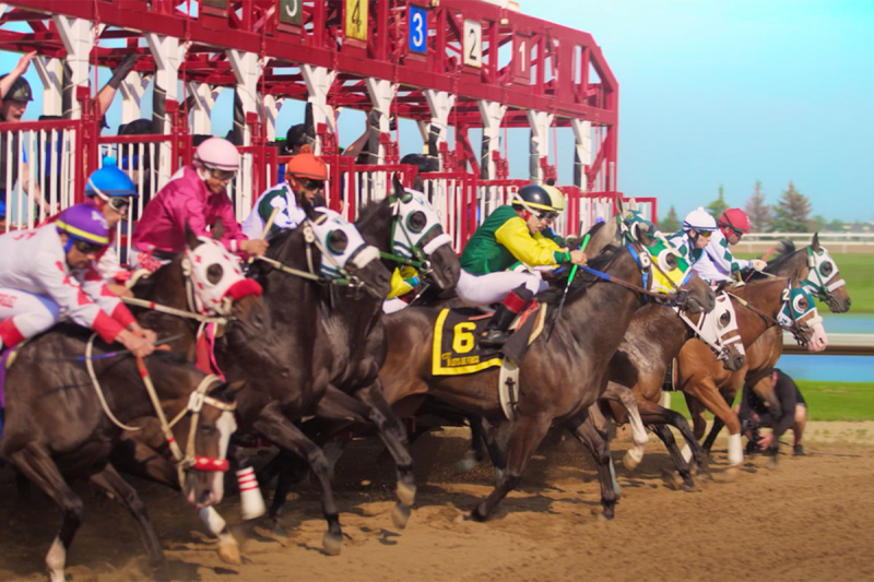 2026 Alberta Breeders' Fall Classic and Canada QH Cup Futurity Promo (video)