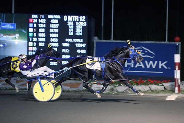 Betting Line at the finish line of the NA Cup - 2016 Horse of the Year
