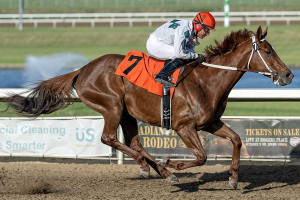 Avana and Reyes at the wire in the Redtail Landing Stake