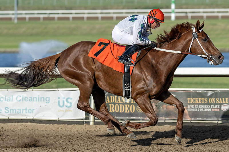 No Match for Avana in RedTail Landing Stakes