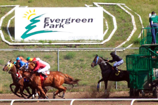 Free Thought puts on a show at Evergreen Park