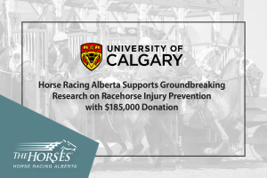 Horse Racing Alberta Supports Groundbreaking Research on Racehorse Injury Prevention with $185,000 Donation
