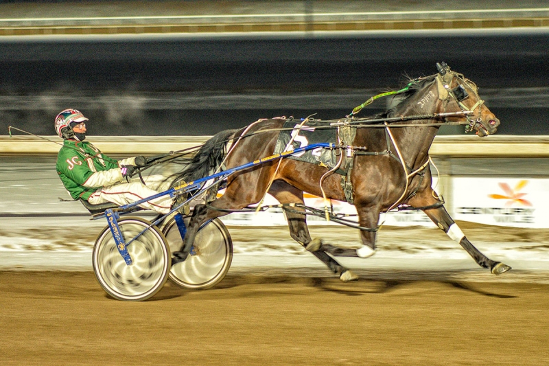 Dave Kelly and Big Shir at Century Mile on November 23rd