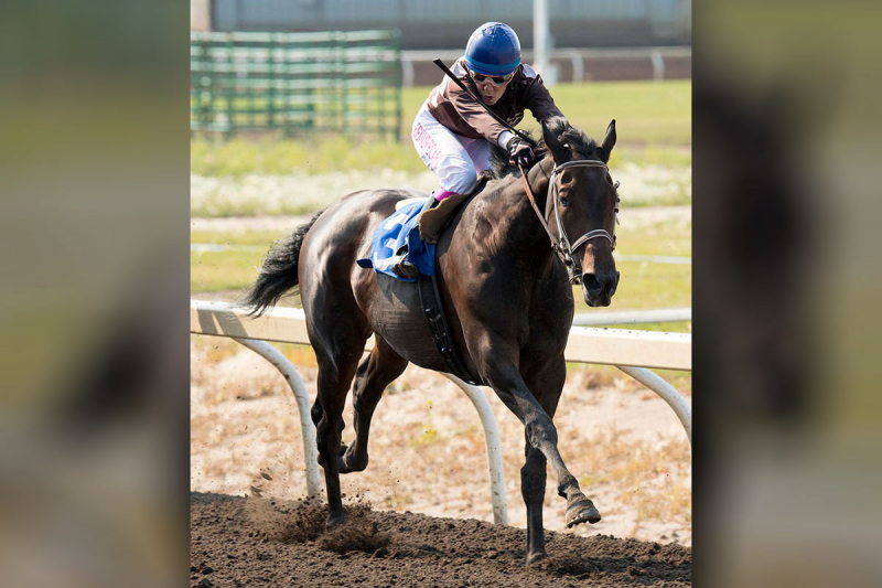 Shannon Beauregard and Port Protection, winner of the The 44th Running of The Duchess of York
