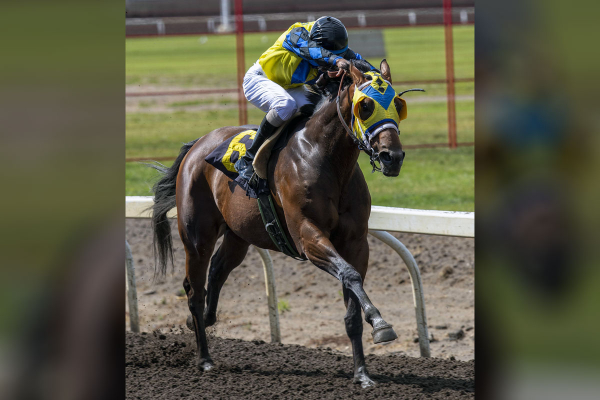 Trooper John at Northlands Park winning the Ky Alta Stake, June 2017 (j. Keishan Balgobin)