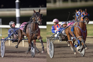 Over The Horizon and Blue Star Mercury at the wire of their respective elimination races on Saturday at Century Mile