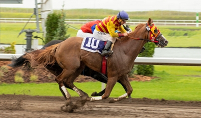 Vancouver invader Explode winning an allowance race at Century Mile this weekend