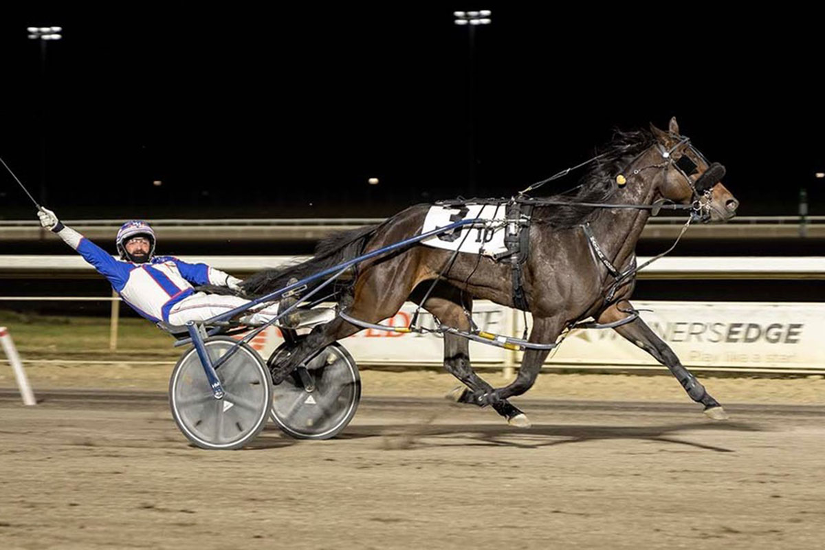Mike Hennessy celebrating as Hands Off Harry crosses the finish line in the Pacing Derby