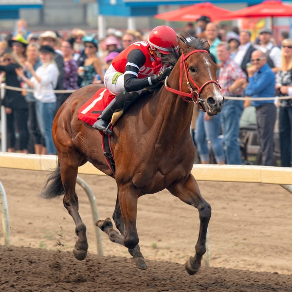 Escape Clause winning the City of Edmonton Distaff Handicap on Canadian Derby day at Northlands Park