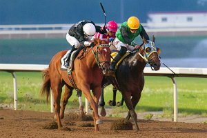 Stretch battle in the Count Latham Handicap at Century Mile on Friday evening